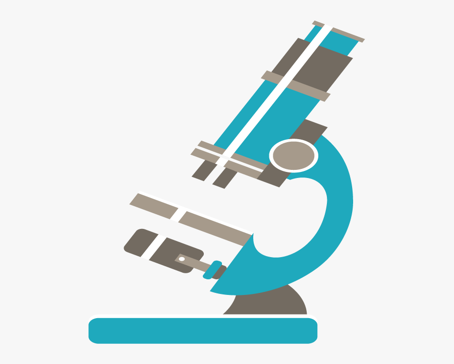 Research Science Euclidean Vector Biology - Biology, Transparent Clipart