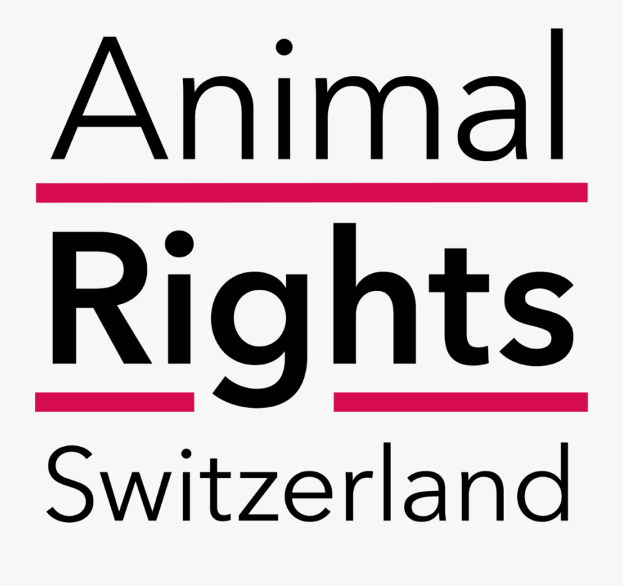 Why We Fail To Do What"s Right And What To Do About - Oval, Transparent Clipart