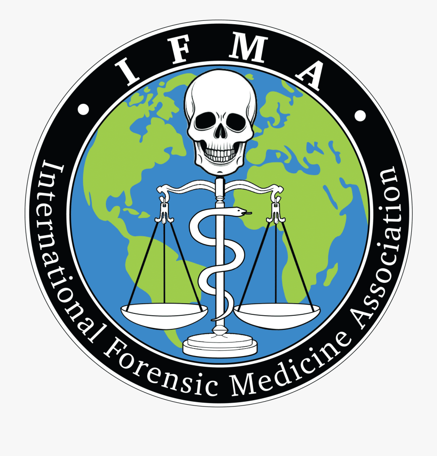 Mehlville School District Portrait Of A Graduate, Transparent Clipart