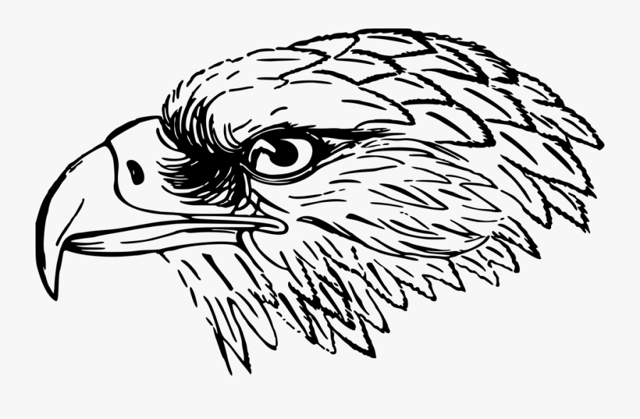 Transparent Snake Eye Png - Falcon Clipart Black And White, Transparent Clipart