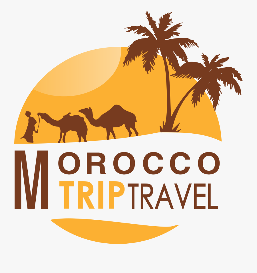 Morocco Trip Travel - Realistic Palm Tree Drawings, Transparent Clipart