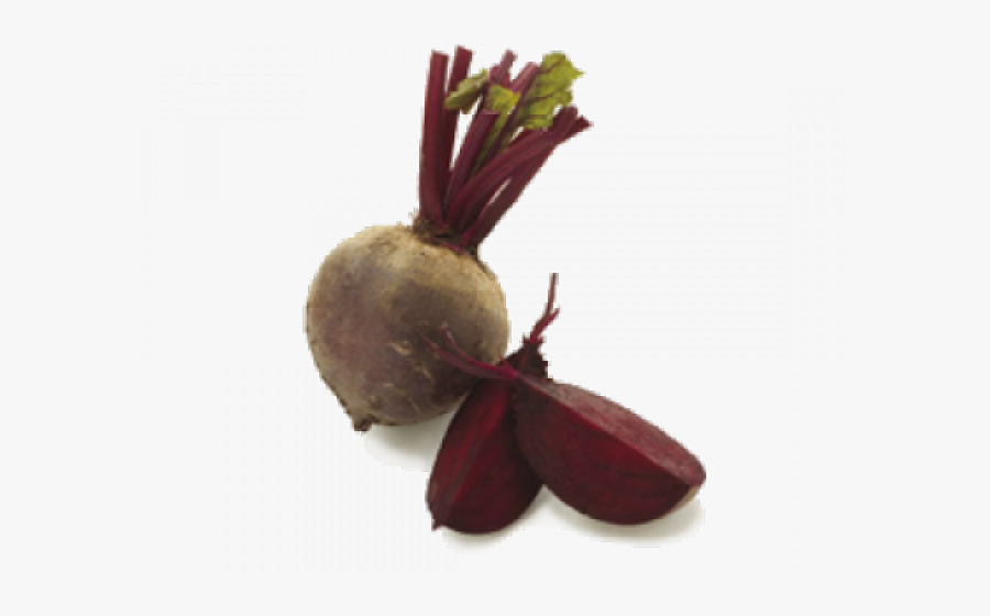 Beetroot Clipart Single Vegetable - Beetroot, Transparent Clipart