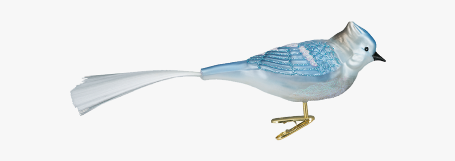 Blue Jay, Transparent Clipart