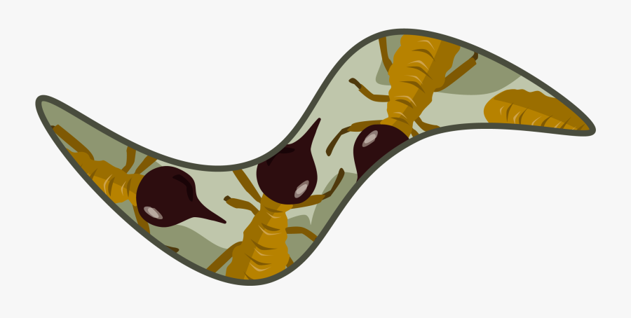 Clip Art, Transparent Clipart