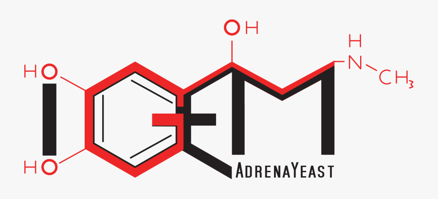 Cross, Transparent Clipart