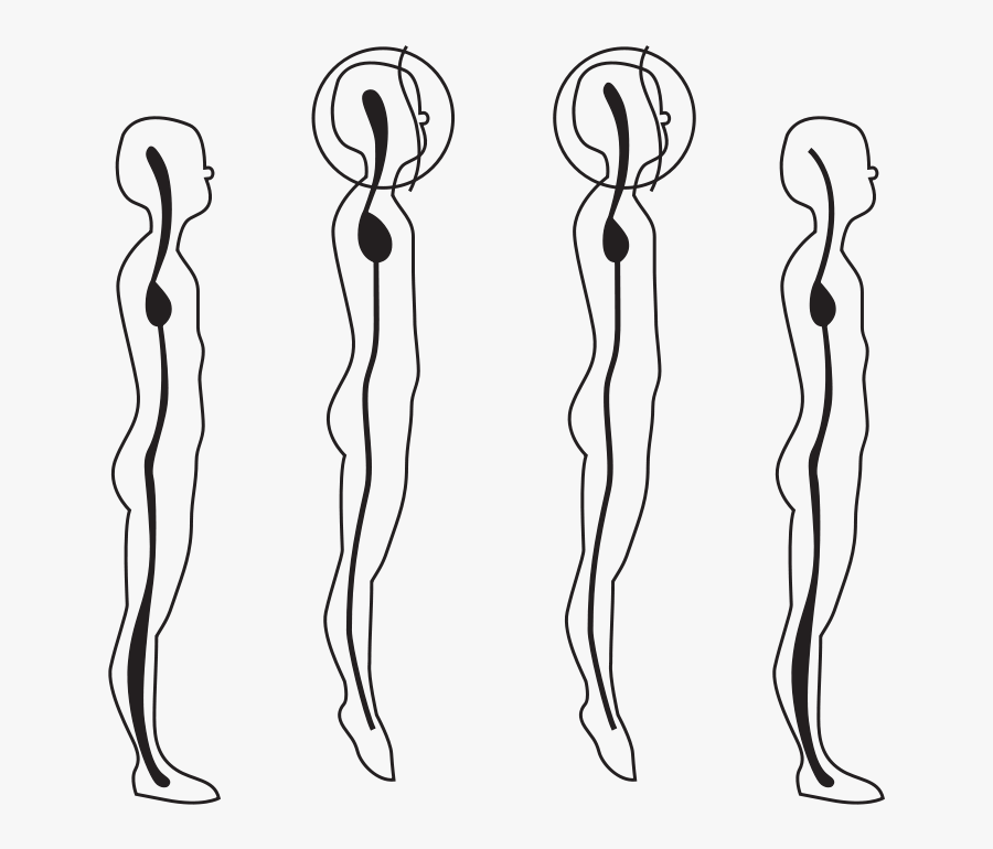58294main The - Alexander Technique Posture, Transparent Clipart