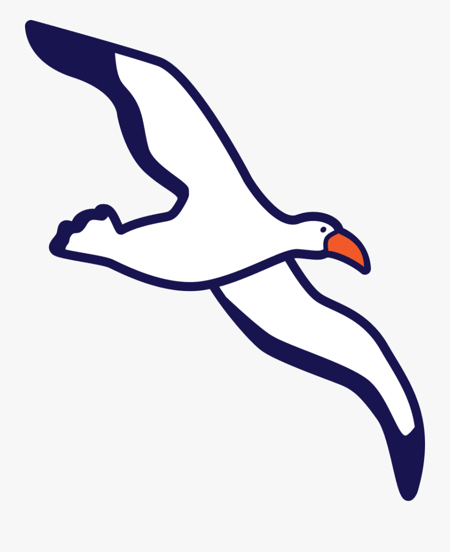 Penguin, Transparent Clipart