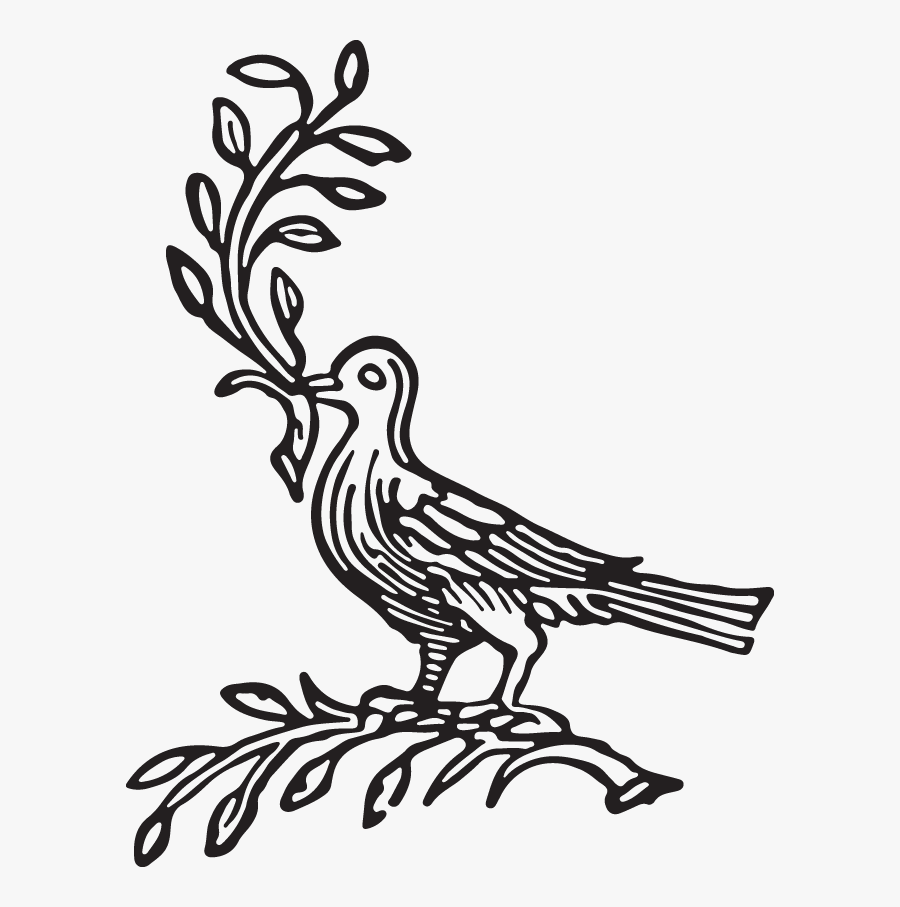 Illustration, Transparent Clipart