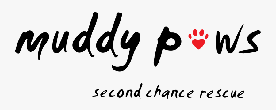 Calligraphy, Transparent Clipart