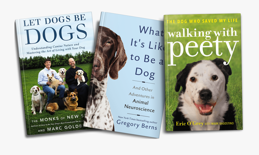 In Post Image For 10 Gifts For The Dog Lover In Your - Walking With Peety Book, Transparent Clipart