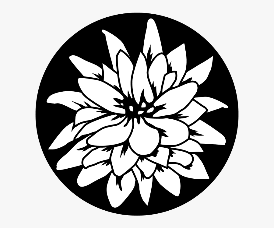 Flowering Lily Clipart , Png Download, Transparent Clipart