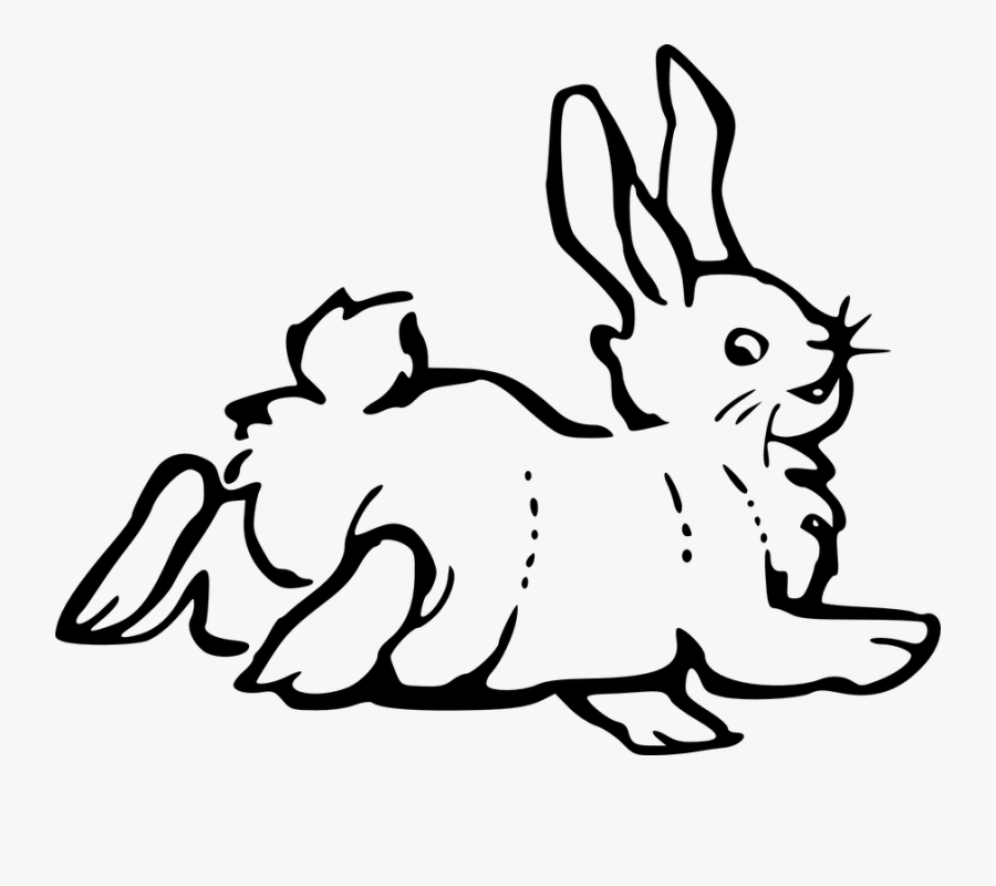 Rabbit, Back, Happy, Farm, Looking, Jumping, Animal - Rabbit Clip Art, Transparent Clipart
