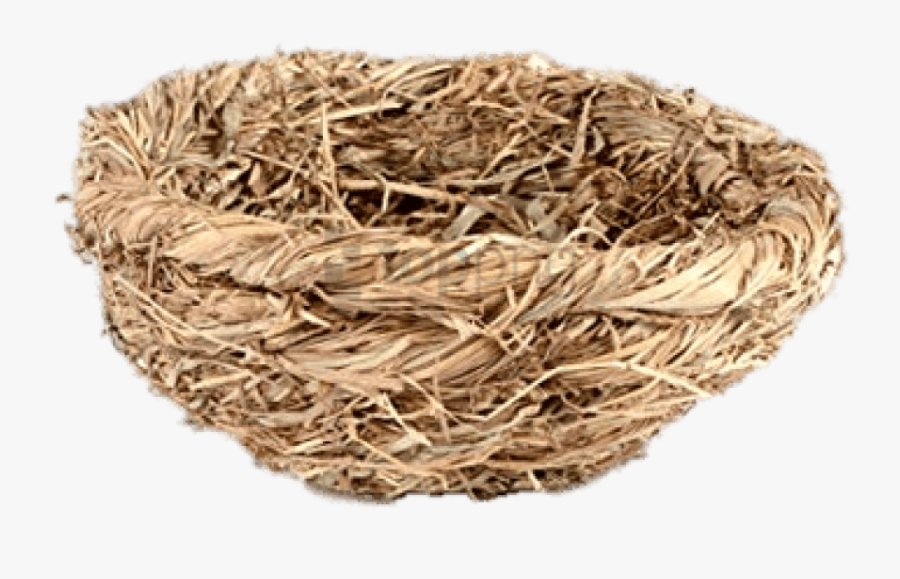 Bird-nest - Png Image Bird's Nest Png, Transparent Clipart