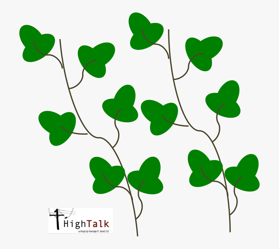 Vines Are Some Of The Most Beautiful Plants In The, Transparent Clipart
