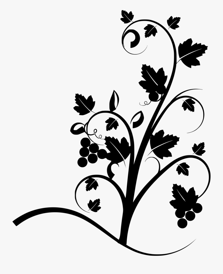 Transparent Thorn Vine Png - Vine, Transparent Clipart