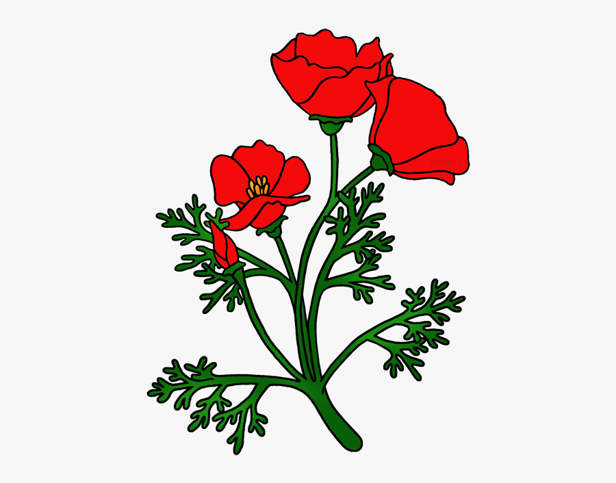 Red Poppy - Cartoon California State Flower, Transparent Clipart