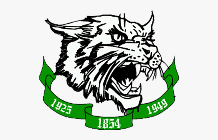 Index Of Images Main - Arundel High School Wildcats, Transparent Clipart