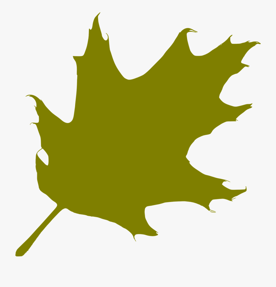 Oak Leaf Green Free Photo - Oak Tree Leaf Silhouette, Transparent Clipart