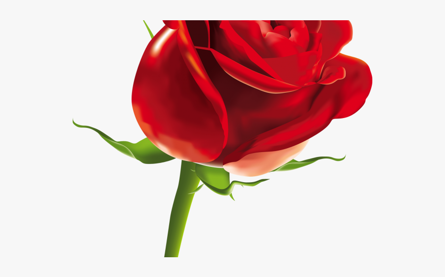 Cb Edit Rose Png, Transparent Clipart