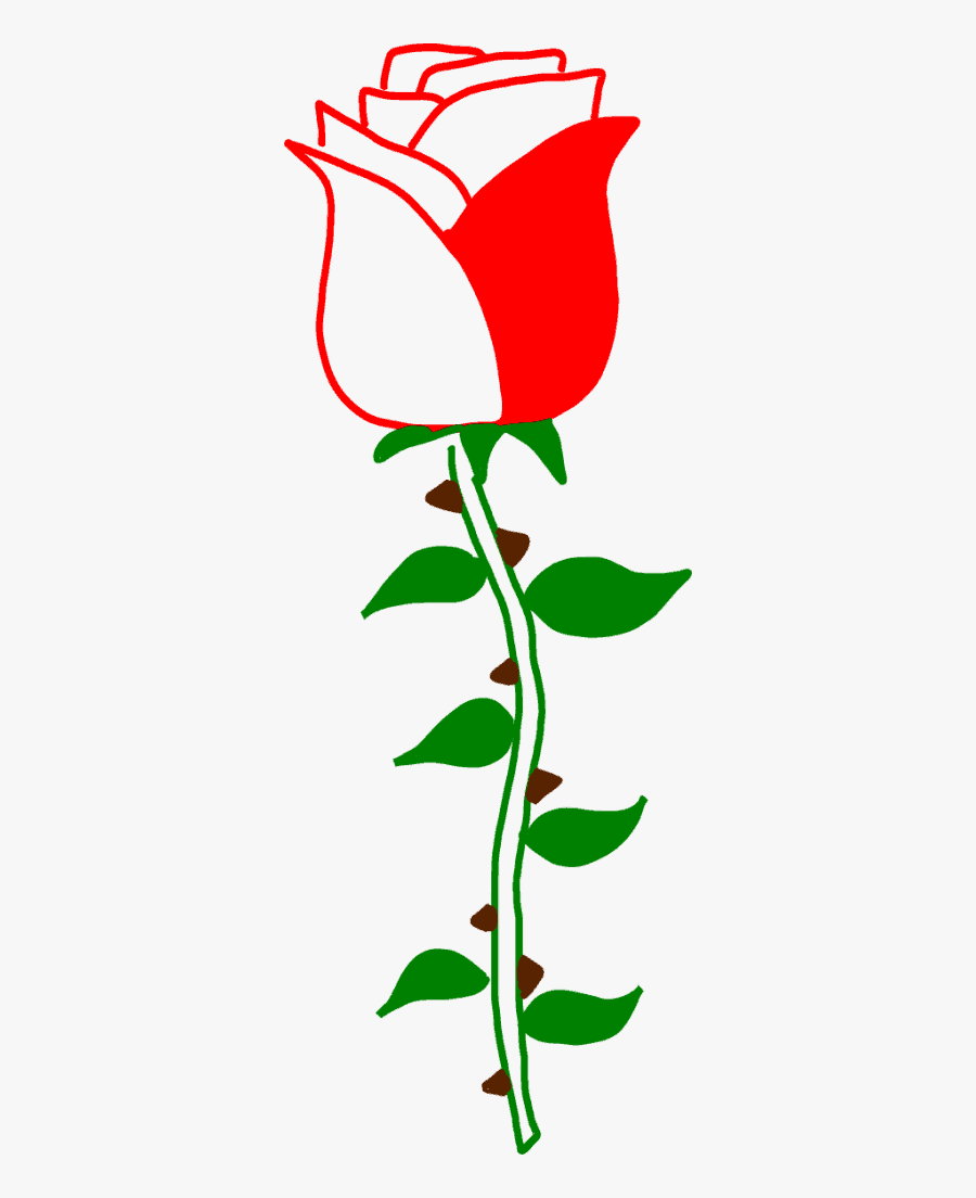 How To Draw A Rose, Transparent Clipart