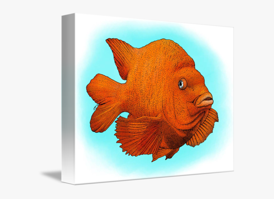 Transparent Halibut Clipart, Transparent Clipart