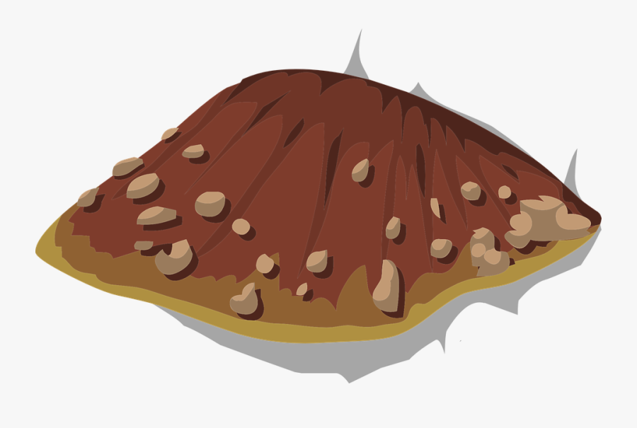 Fungus, Fungal, Mushroom, Brown, Tree, Forest, Wood - Champignons Arbre Png, Transparent Clipart