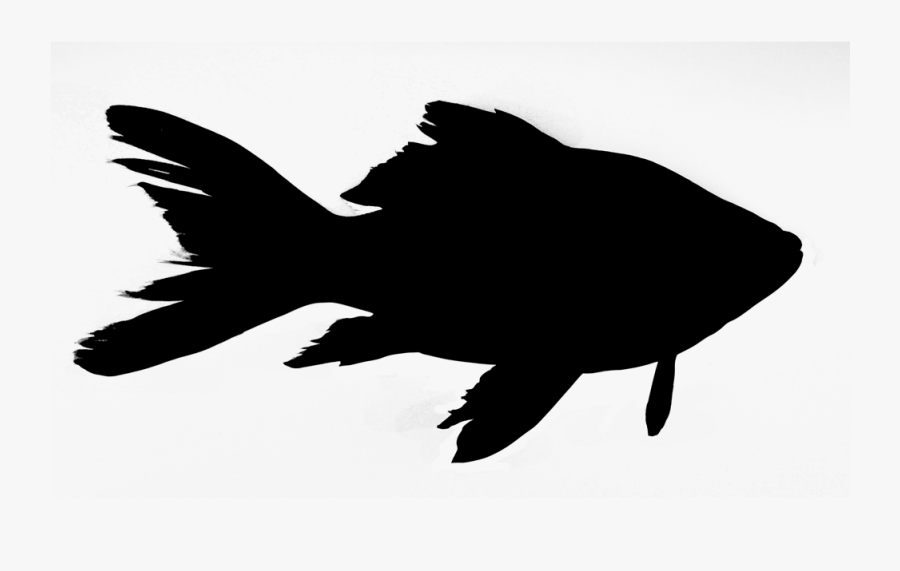 Friday Night Fish Fry - Fish Silhouette Png, Transparent Clipart