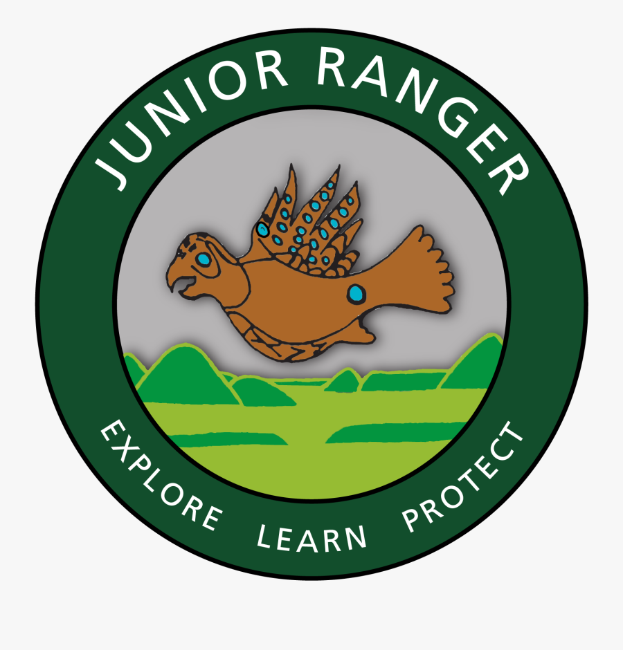 Caricature Artwork Of Copper Bird On Top Of Junior, Transparent Clipart