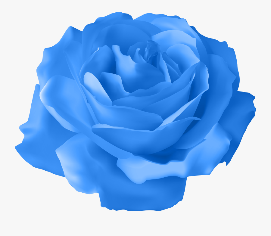 Rose Transparent Png Image, Transparent Clipart