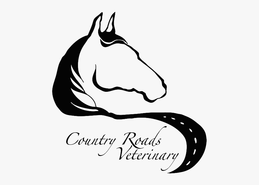 Chiara Boni, Transparent Clipart