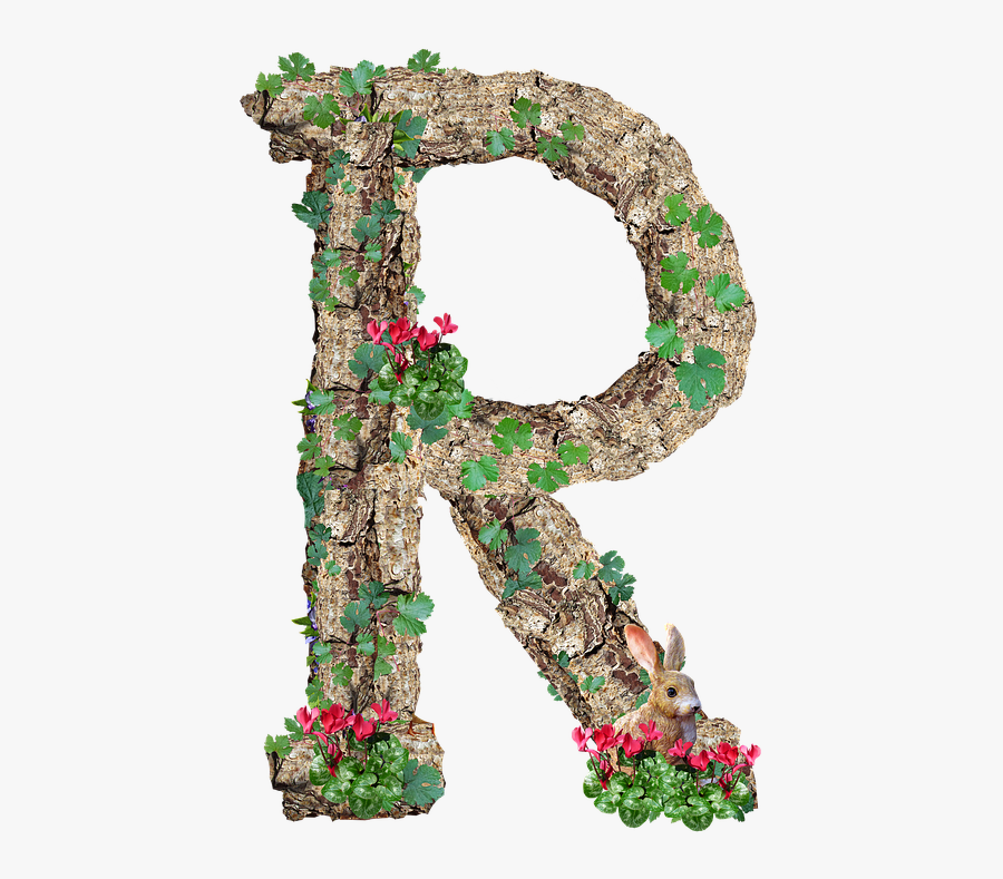 Alphabet, Letter, R, Rustic, Timber, Bark - Stylish R Photo Download, Transparent Clipart