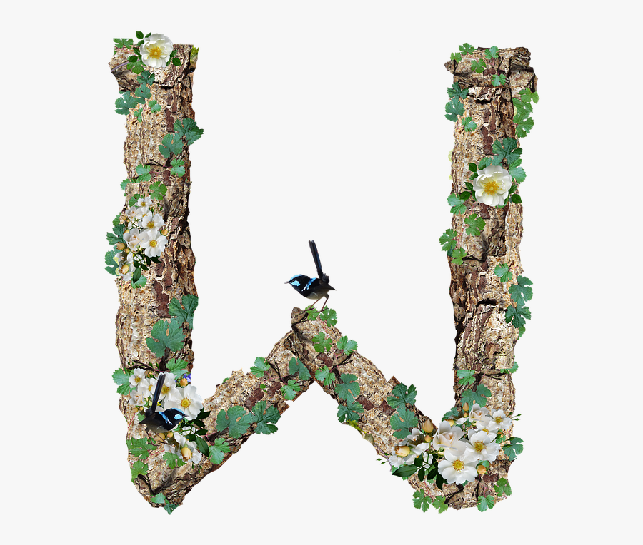 Alphabet, Letter, W, Rustic, Timber, Bark - Tree, Transparent Clipart