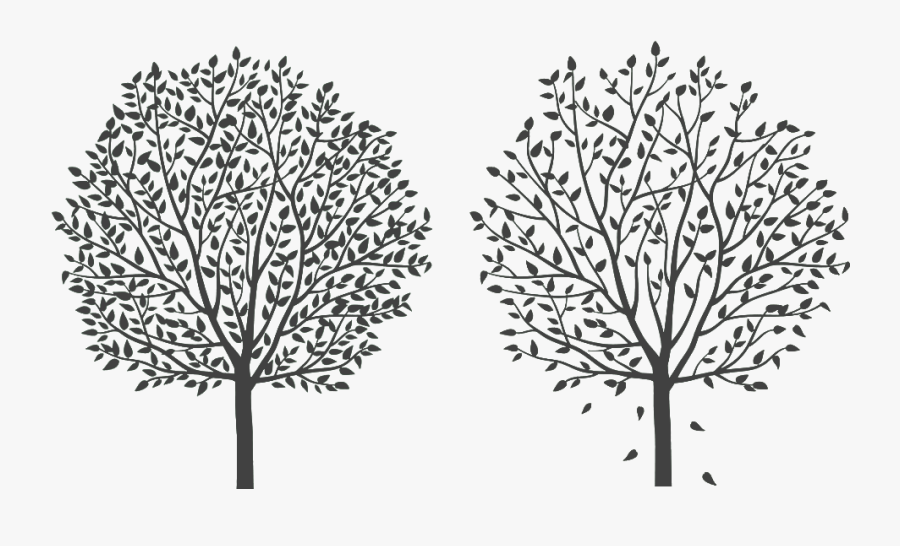 Tree Twig Silhouette Cartoon Line Art - Vector Graphics, Transparent Clipart