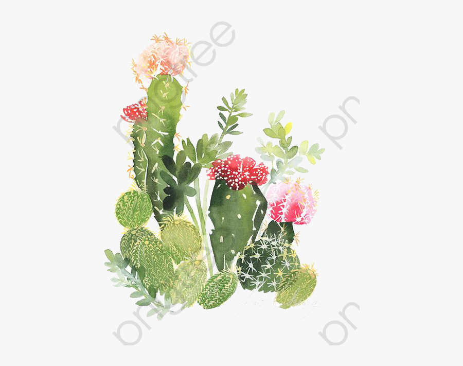 Cactus Flower Painting, Flower Clipart, Cactus, Cactus - Cactus Flowers Png, Transparent Clipart