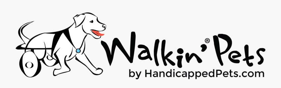 Pets Clip Art Black And White, Transparent Clipart