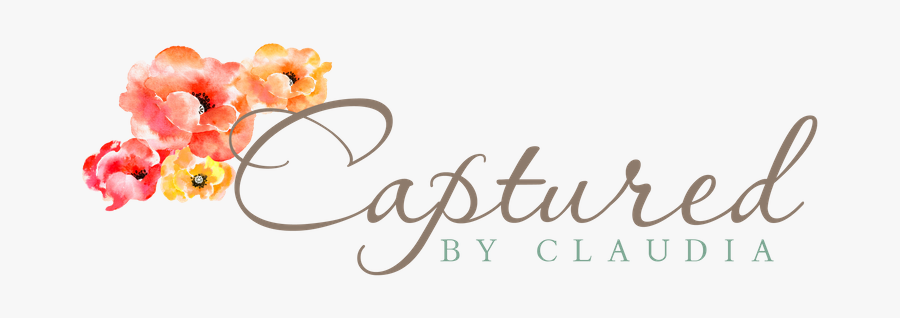 Clip Art Digital Backdrop - Castle Couture, Transparent Clipart