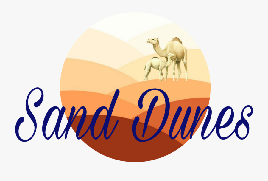 Sand Dunes B2b - Arabian Camel, Transparent Clipart