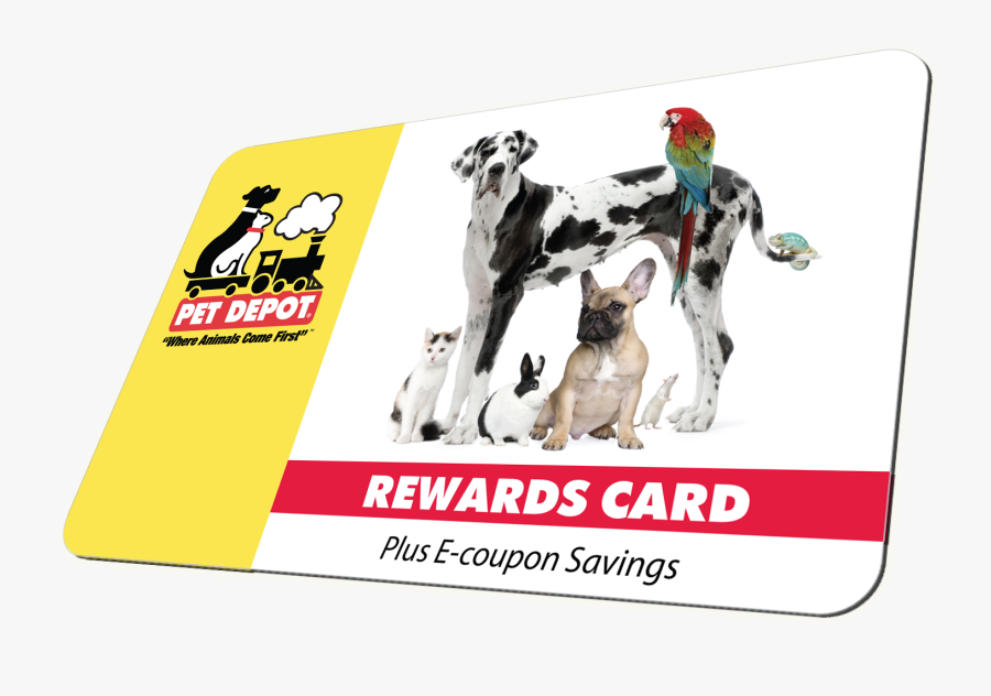Transparent Blank Coupon Png - Pet Shop In Faridabad, Transparent Clipart