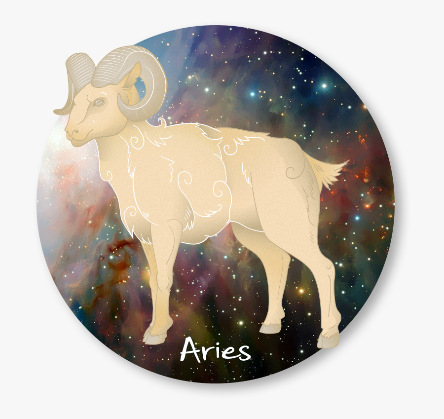 Dall's Sheep, Transparent Clipart