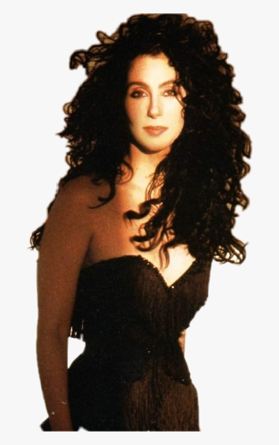 #cher #80s #beauty #icon #pop #hair #godess #music - Cher Iconic Dress, Transparent Clipart