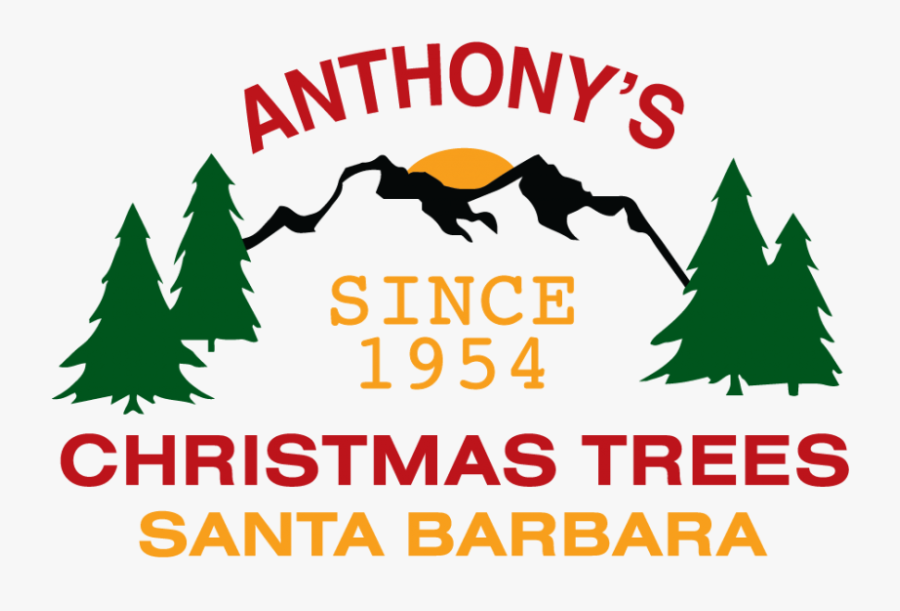 Anthony"s Christmas Trees Logo - Illustration, Transparent Clipart