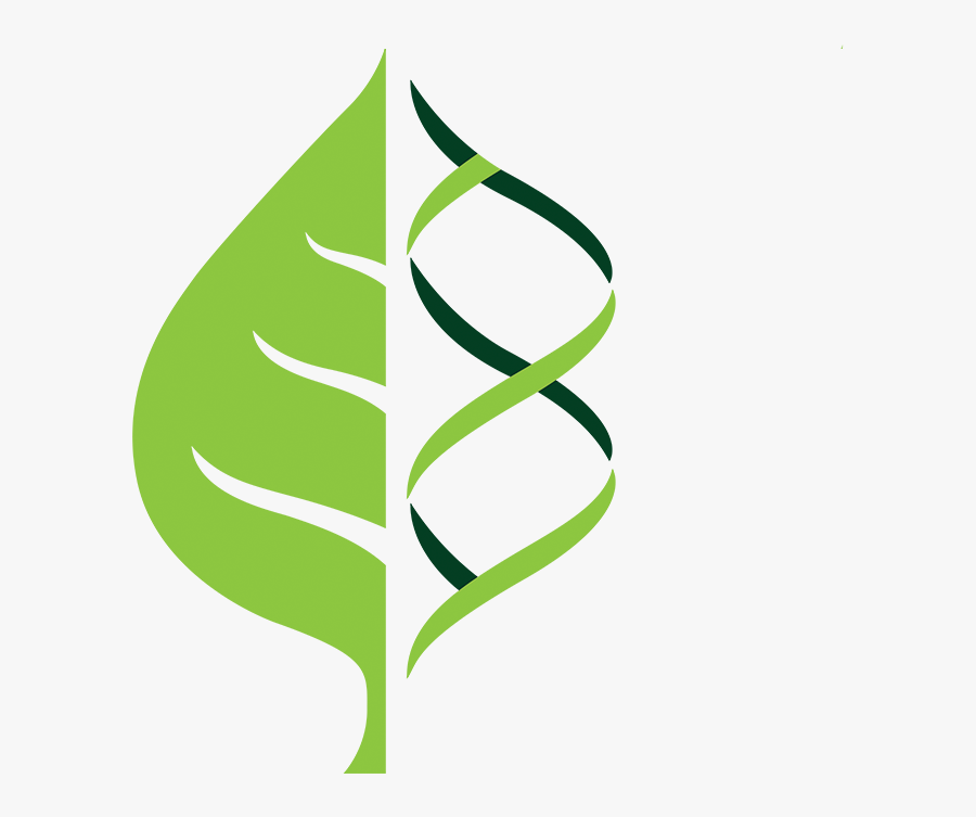 Crops Clipart Plant Science, Transparent Clipart