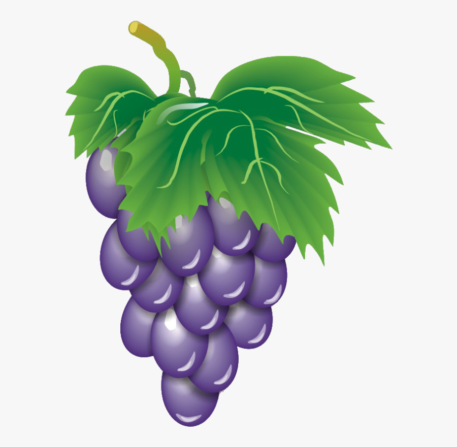 Grapes, Transparent Clipart