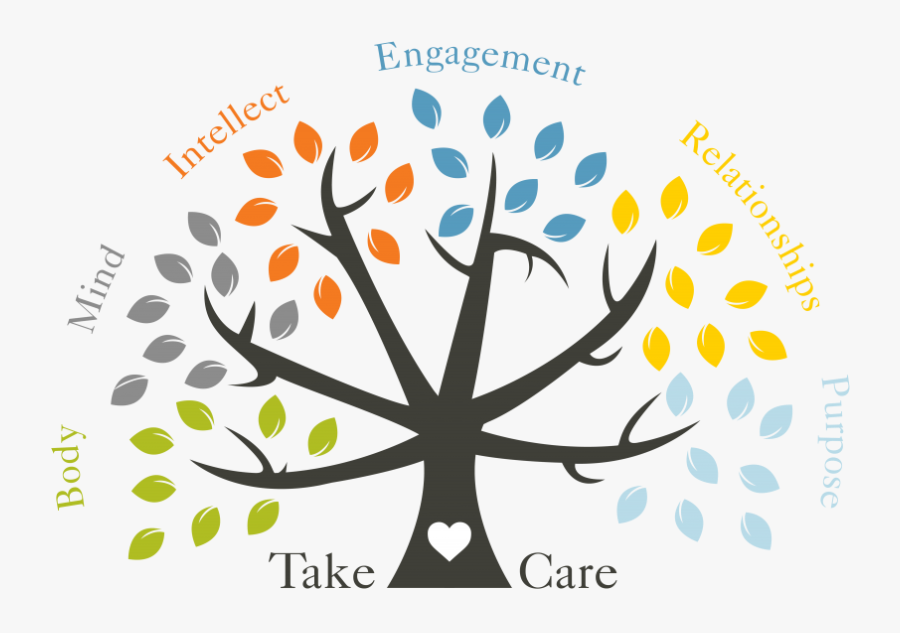 Circle, Transparent Clipart