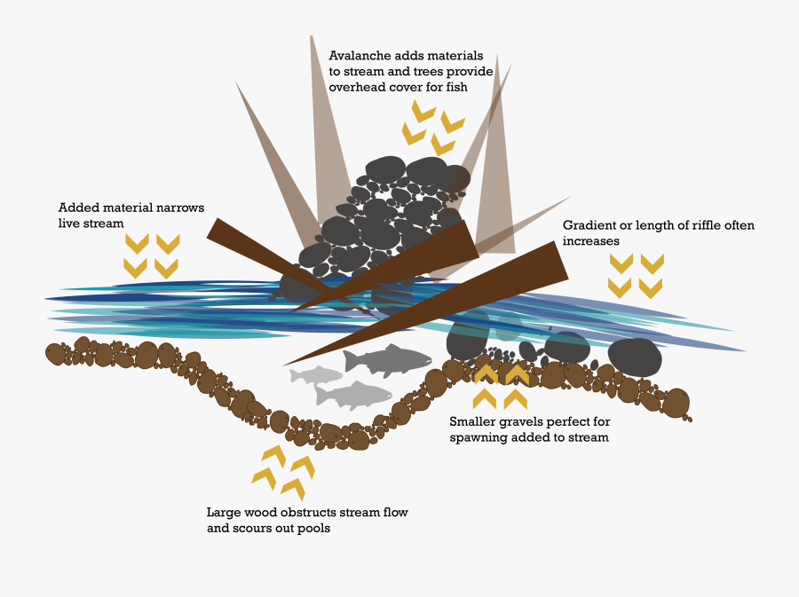 Avalanche Chutes-01 - Graphic Design, Transparent Clipart