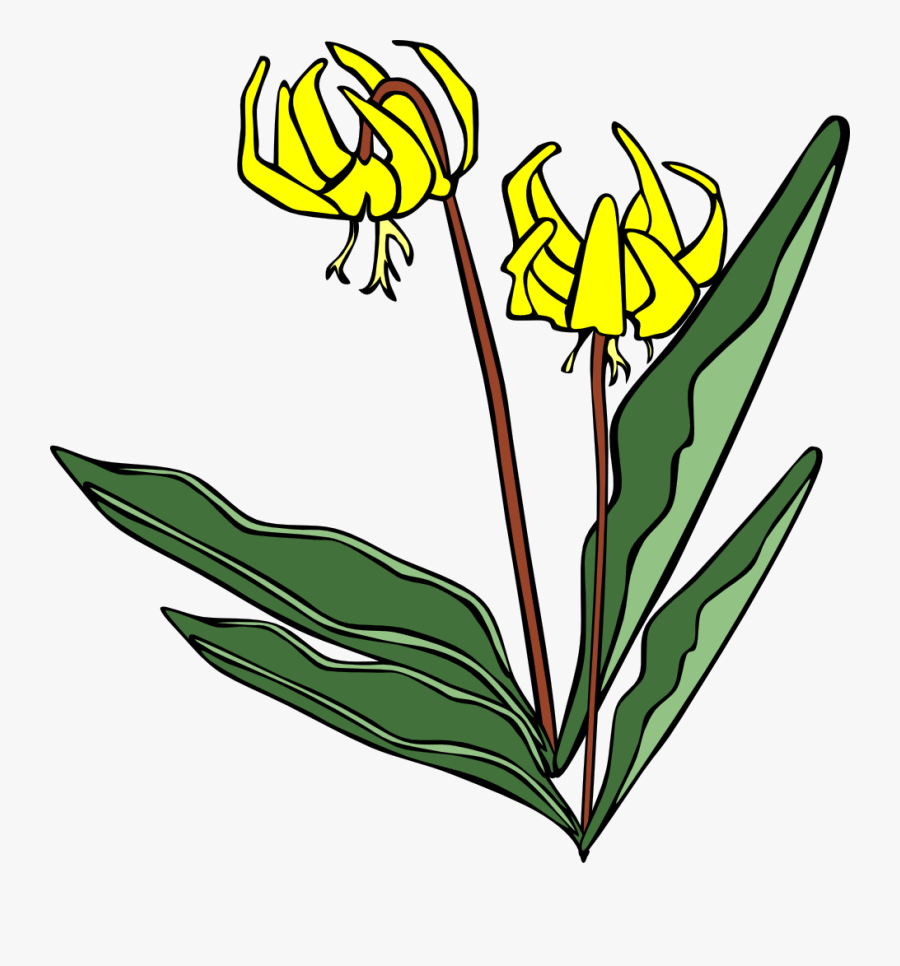 All Photo Png Clipart - Clip Art, Transparent Clipart