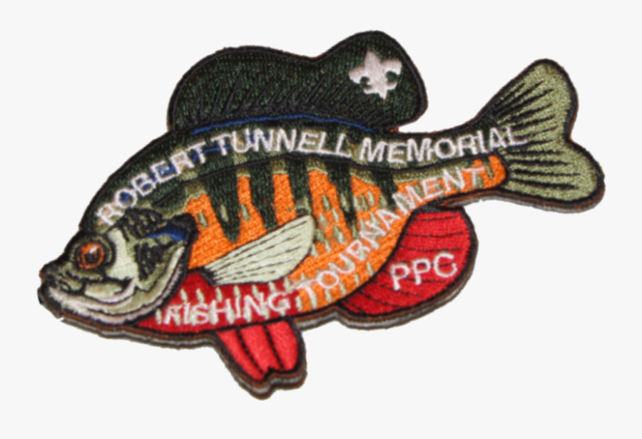 Transparent Cub Scouts Png - Perch, Transparent Clipart