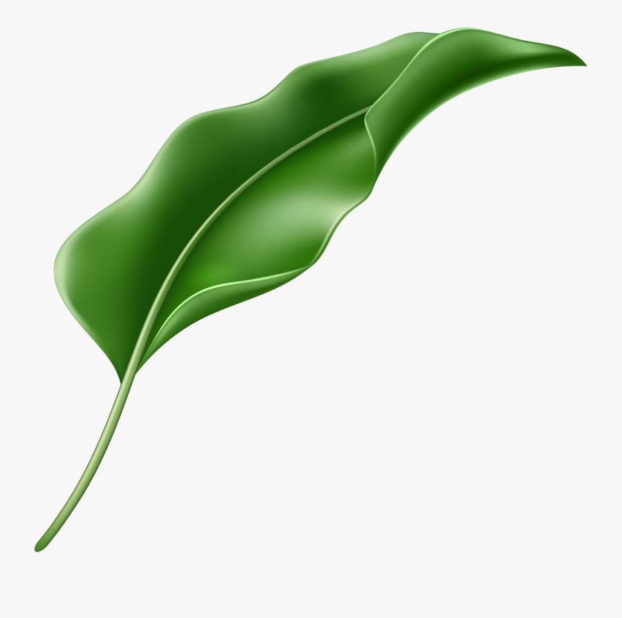 Exotic Leaf Png Clipart Transparent Png , Png Download, Transparent Clipart