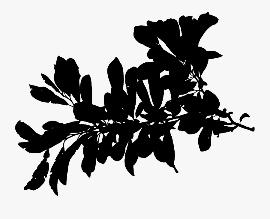 Plant Stem Silhouette Leaf Font Black - Silhouette, Transparent Clipart