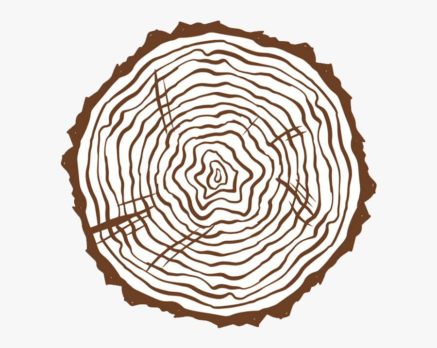 Hickory Lumber In Louisville, Ms - Hạt Cà Phê Logo, Transparent Clipart